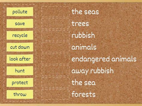 Environmet Collocations Unit 6 Match Up