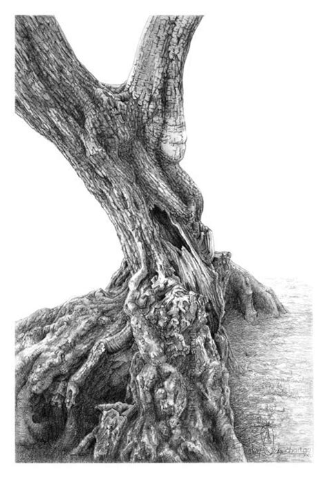 Olive Tree-2, Drawing by Fikret Özcan | ArtMajeur by YourArt | Ink pen ...