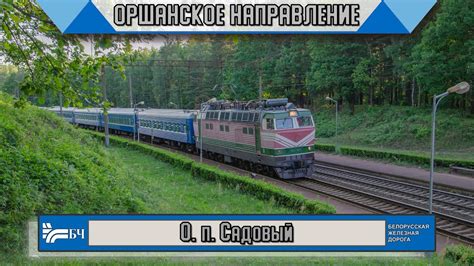 Поезда в Беларуси! Предвечерняя железнодорожная жизнь на Оршанском ...