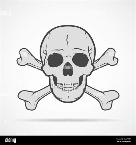 Human Skull And Crossbones Isolated On Light Background Vector