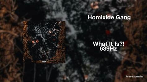 Homixide Gang What It Is Ft Pierre Bourne Hz Heal