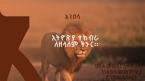 Amharic Fonts Preview :: Behance