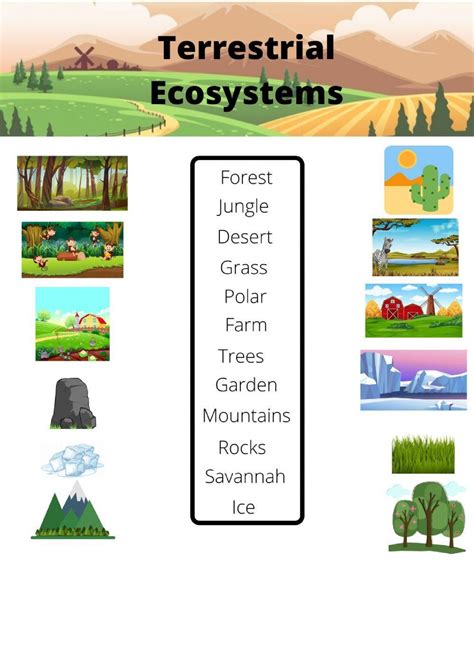 Terrestrial Ecosystem Vocabulary Interactive Worksheet Live