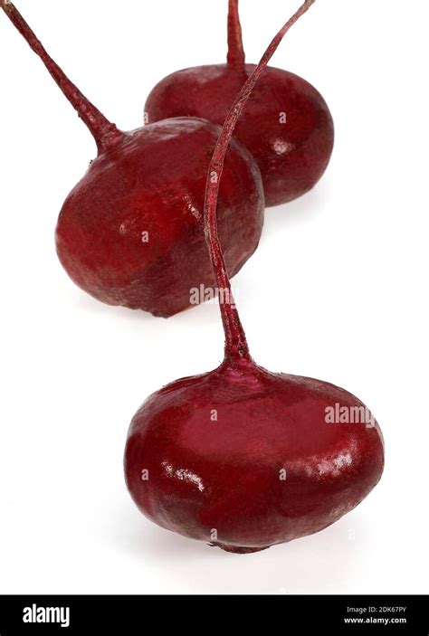 Beetroot Beta Vulgaris Rubra Against White Background Stock Photo Alamy