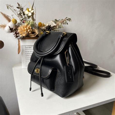 Coachs New Riya Backpacks Mini Backpack Women S Fashion Bags