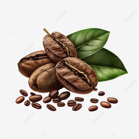 Coffee Beans Coffee Leaves Transparent Coffee Beans Coffee Leaves