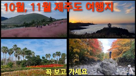 제주도 가을10월 11월에 가면 좋은 여행지 추천해요 Youtube