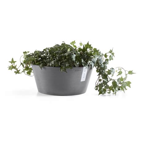 Ecopots Pflanzschale Berlin Ø 50 cm Grau kaufen bei OBI