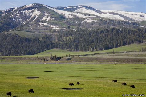 Lamar Valley Map of Yellowstone National Park ~ Yellowstone Up Close ...