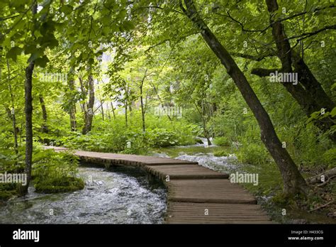 Croacia Dalmacia Plitwitzer Lagos El Parque Nacional El Bosque