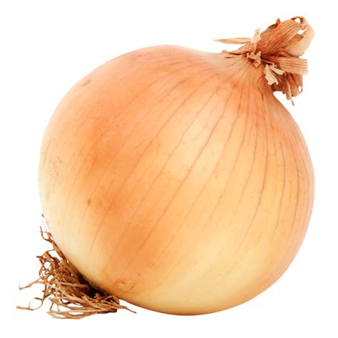 Yellow onion Vegetable Mandi - vegetable png download - 600*600 - Free ...