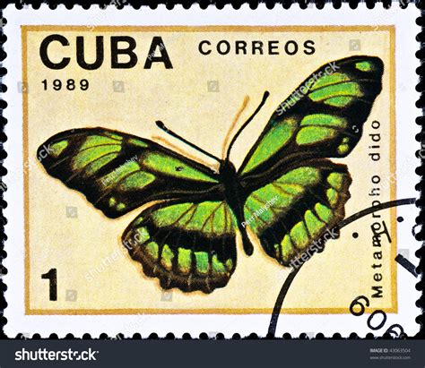 Cuba Circa 1989 Postage Stamp Shows Stock Photo 43063504 Shutterstock