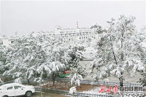 一场秋雪，陇原银装素裹 甘肃多地出现降雪或雨夹雪天气 天水局地积雪深度达18厘米 甘肃 每日甘肃网