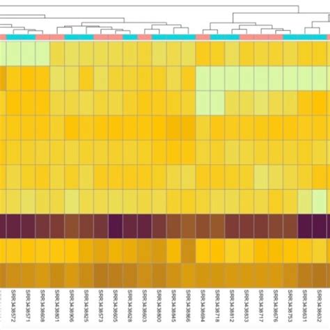 Heat Map Showing The Top Ten Most Significantly Differentially