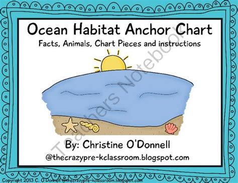 136 best images about Ocean habitat on Pinterest | Classroom displays ...