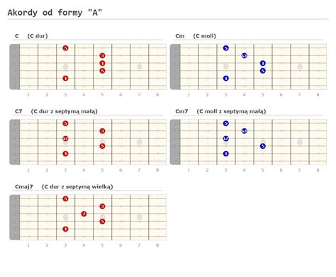 Lekcje Nauka gry na gitarze dla osób początkujących i zaawansowanych