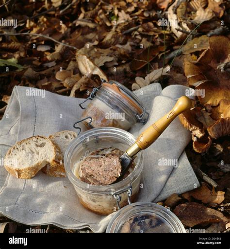 Wild Boar Terrine Stock Photo Alamy