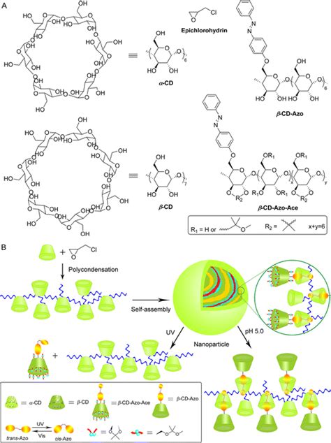 Dual Stimuli Responsive Supramolecular Polymeric Nanoparticles Based On