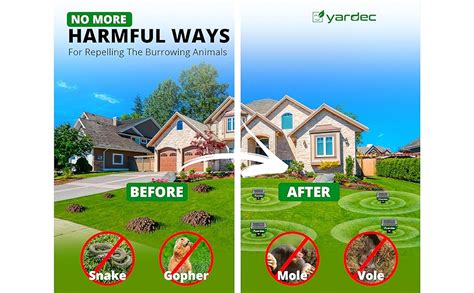 Amazon.com: YARDEC Gopher Repellent Ultrasonic Solar Powered (8-Pack ...