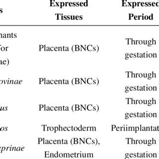 Endogenous retrovirus envelope genes supposed to play roles in ...