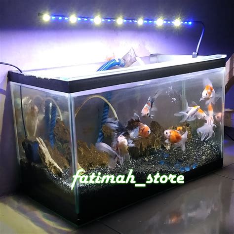 Lampu Aquarium Aquascape LED Smd Biru Putih 50cm Lampu Ikan Hias Lampu