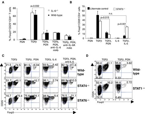 Pgn Induced Inhibition Of Foxp3 Expression Is Independent Of Il 6