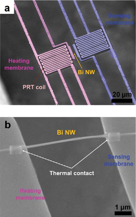 [pdf] Observation Of Anisotropy In Thermal Conductivity Of Individual Single Crystalline Bismuth