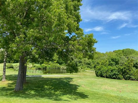 Twin Brooks — Barnstable Land Trust