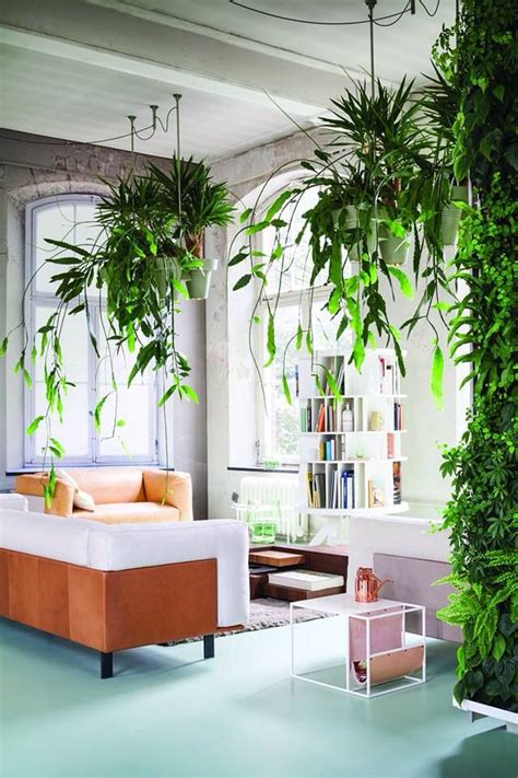 Hangplanten Woonideeën Hangplant Interieur