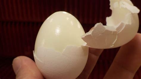 Perfect Easy To Peel Hard Boiled Eggs Egg Shells Practically Fall Off Scenic Sites And Bites