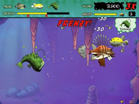 Download Feeding Frenzy My Abandonware