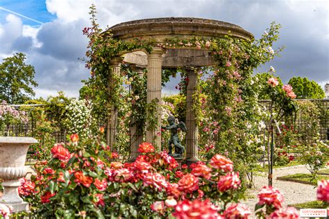 The Roseraie du Val de Marne at l Haÿ les Roses a remarkable and