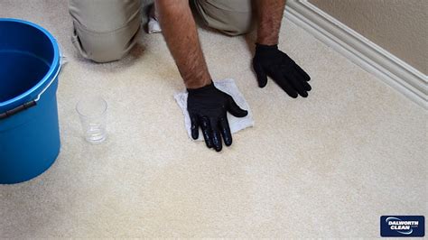 How To Clean Pet Stains Out Of Concrete At Steven Perez Blog