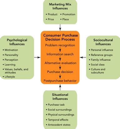 Test Diagram Quizlet