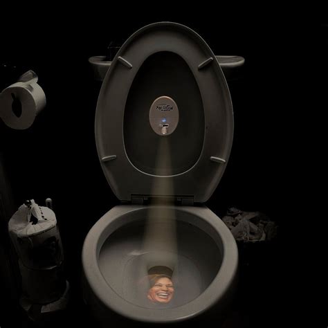 Pee Litical Targets Toilet Light Motion Activated Projects Images Of
