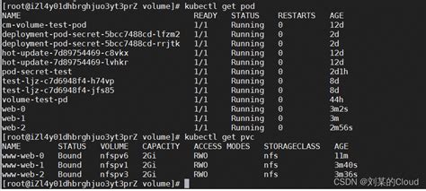 Kubernetes 持久卷PVPVC