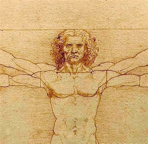 Lienzo Tela Canvas Hombre De Vitruvio 1490 Leonardo Da Vinci 800 00