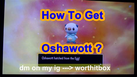 How To Get Oshawott In Pokemon Scarlet Violet Youtube