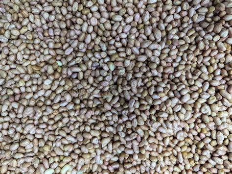 Top View Of Shelled Organic Ground Nuts Fresh Ground Nuts For Sale In