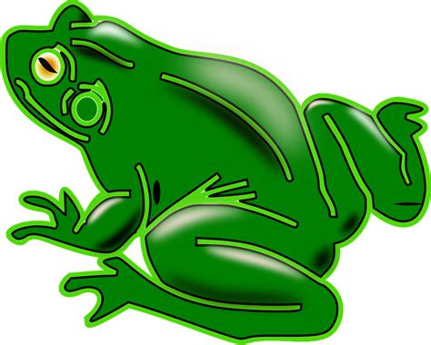 Download Frog Amphibian Tree Frog Royalty Free Vector Graphic Pixabay