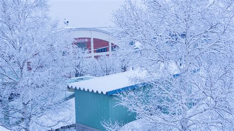 北海道去看全世界最美的雪 知乎