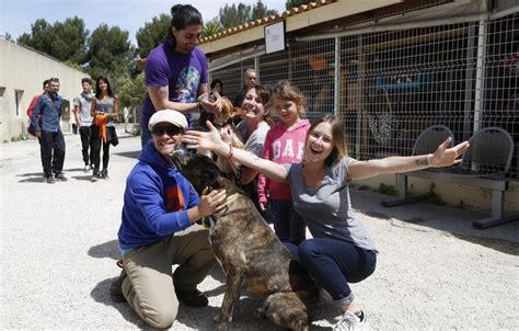 SPA Marseille Provence 25 loulous ont trouvé une famille