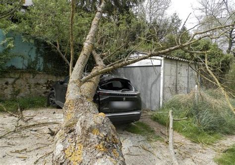 Un arbre tombe sur une voiture à Bas en Basset Bas en Basset 43210