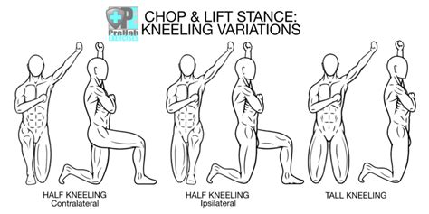 Chop And Lift Progressions For Stability And Integration Prehab