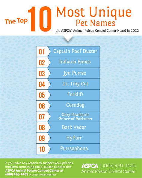 Unique Puppy Names