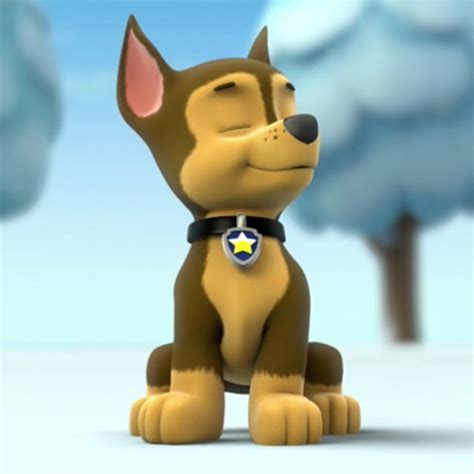 Chase Chase Paw Patrol Photo Fanpop