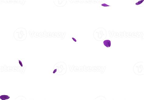 Purple Rose Petals 46646880 Png