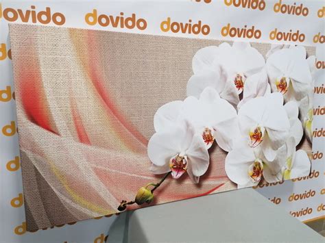 Wandbild Wei E Orchidee Auf Leinwand Dovido De