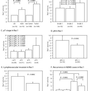 Expression of GTP-binding (active form) Rac1 (22 kDa), Pak1 (65 kDa ... 