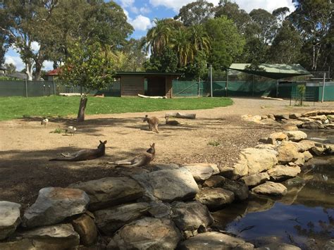 Central Gardens Nature Reserve Sydney Birthdays